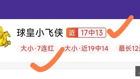 门将大变动佩利加盟都灵在即，利兹门将转会交易，百万欧租借，含买断选择