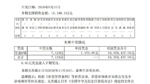 纽约成长日记体育赛事：麦克布莱德见证蜕变，这座城市的非凡意义